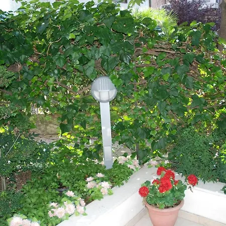 L'affittacamere Di Venezia Guest house Mestre